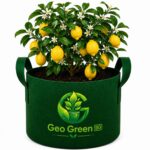 Lemon Grow Bag