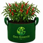 Chili Grow Bag