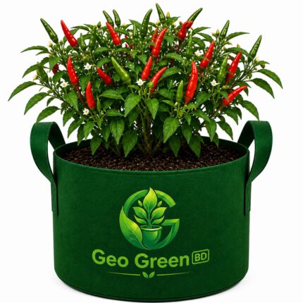 Chili Grow Bag
