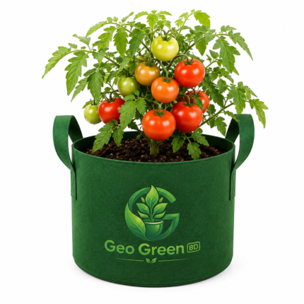 Tomato Grow Bag